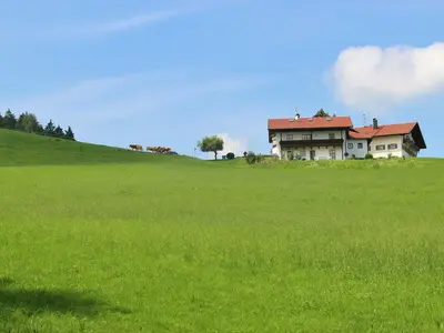 Terrain